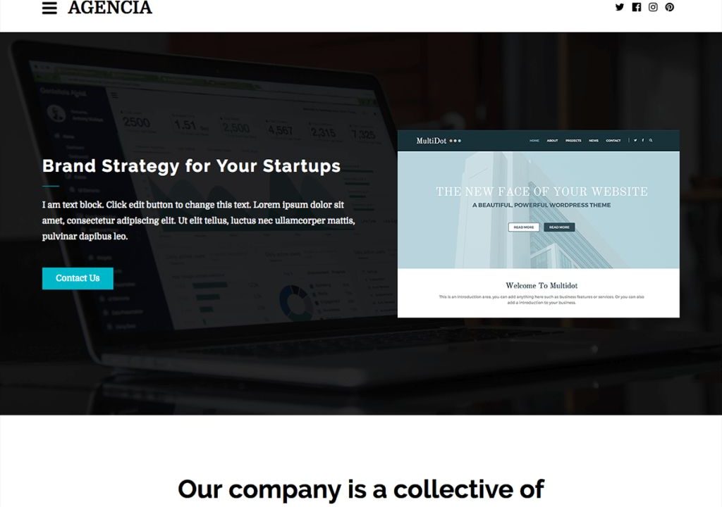 Business Agency WordPress Theme - Agencia