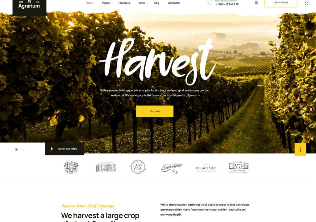 Agrikon Organic Food Agriculture Woocommerce Theme