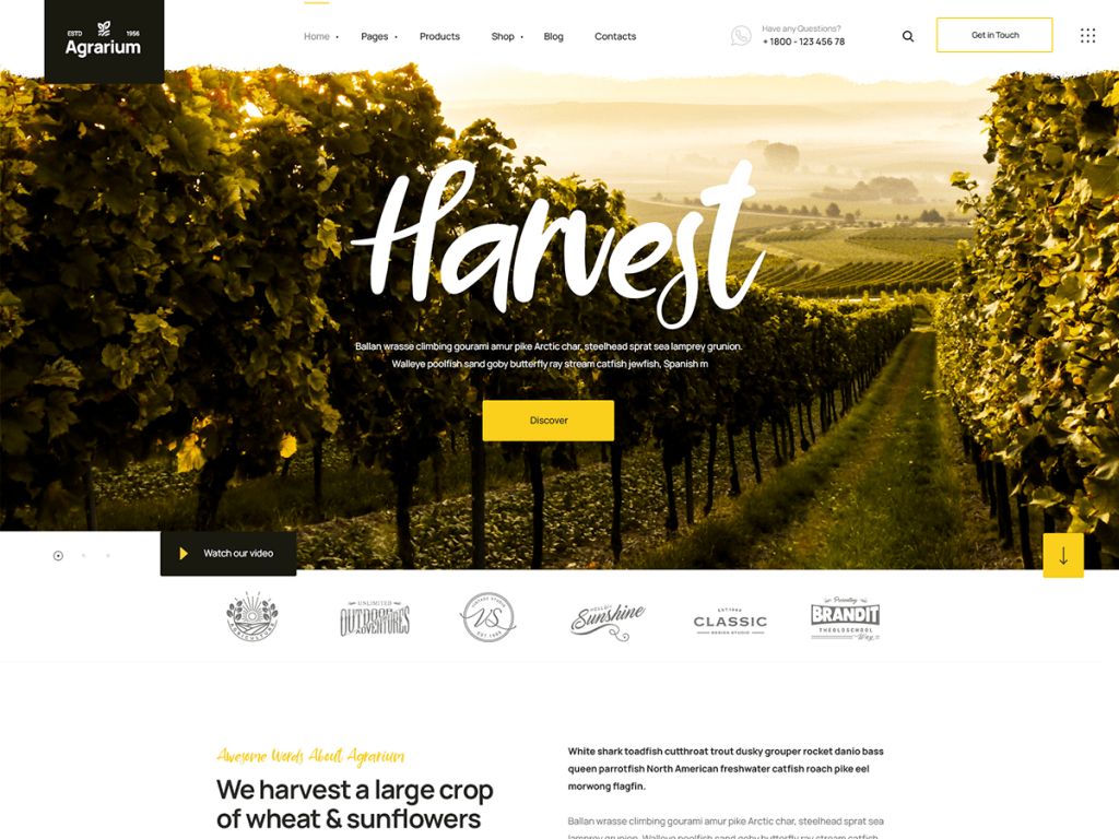 Agrikon Organic Food Agriculture Woocommerce Theme