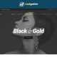 Crypto NFT Marketplace WordPress Theme – Aenft