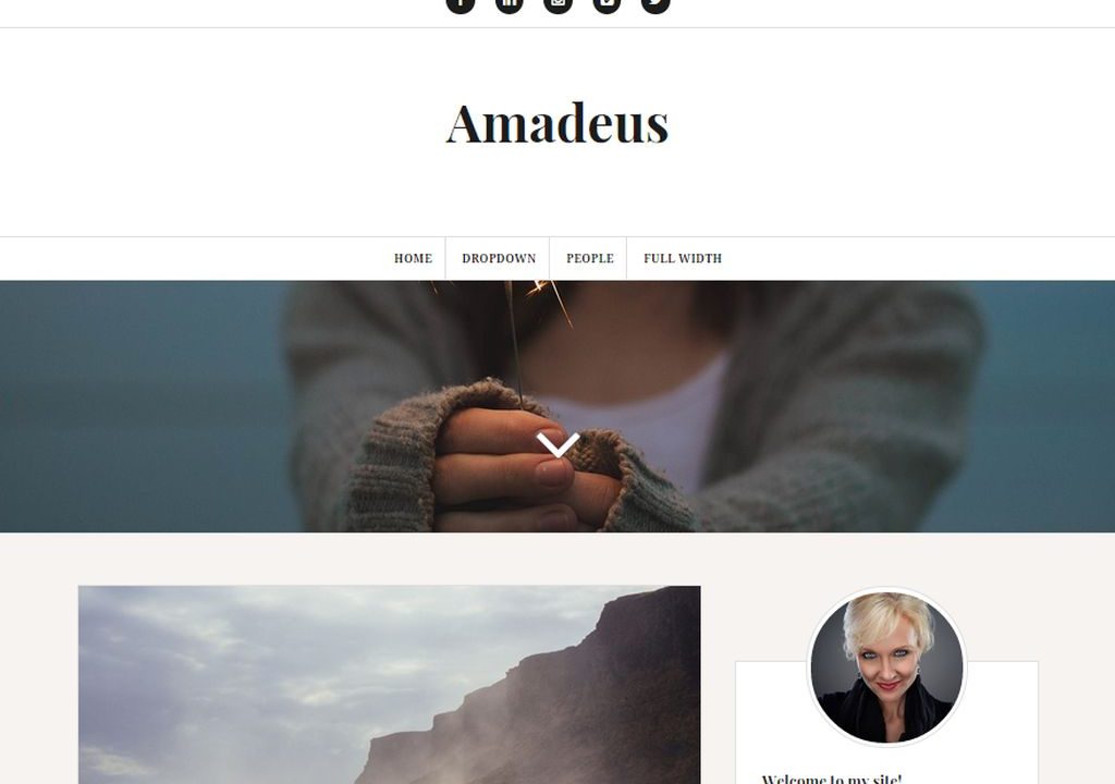 Minimal Premium WordPress Theme - Amadeus