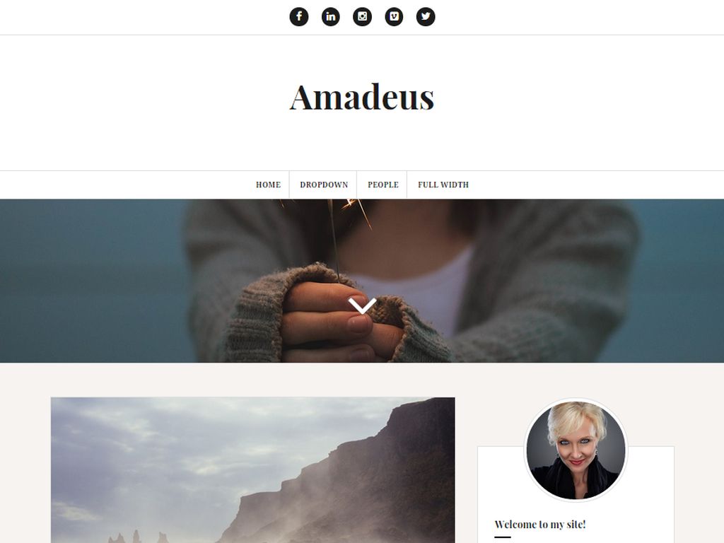 Minimal Premium WordPress Theme - Amadeus