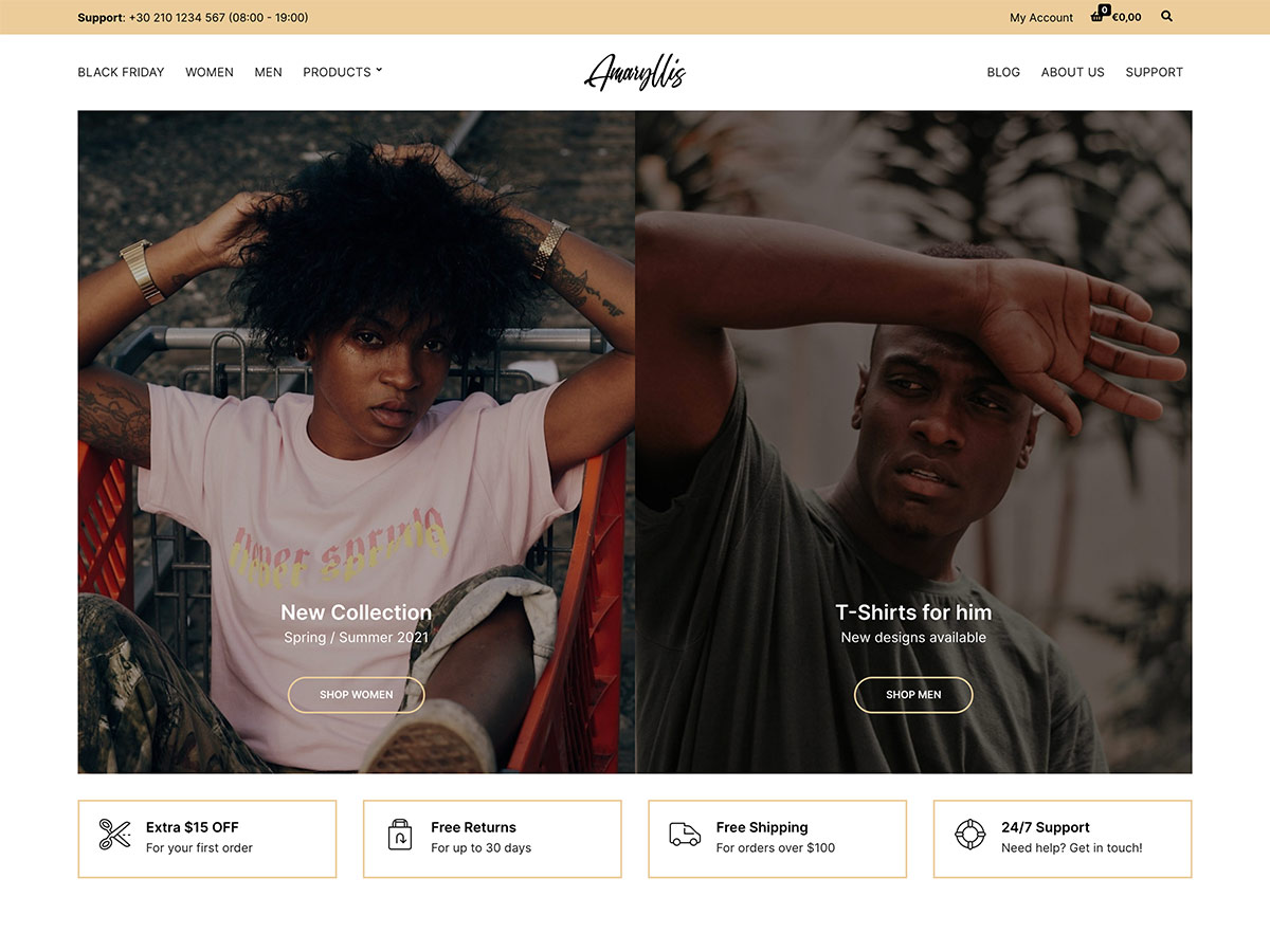 Amaryliss Ecommerce Theme for WordPress